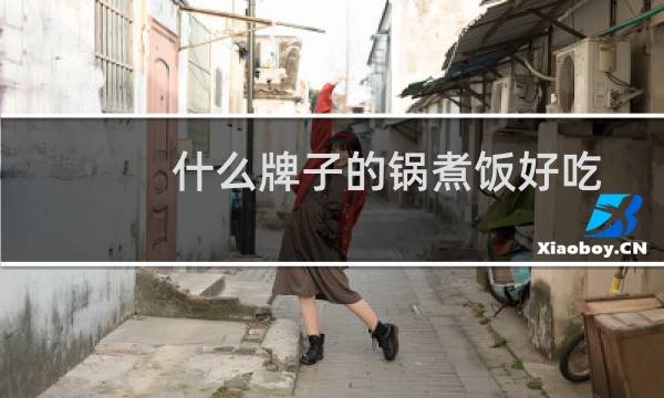 什么牌子的锅煮饭好吃