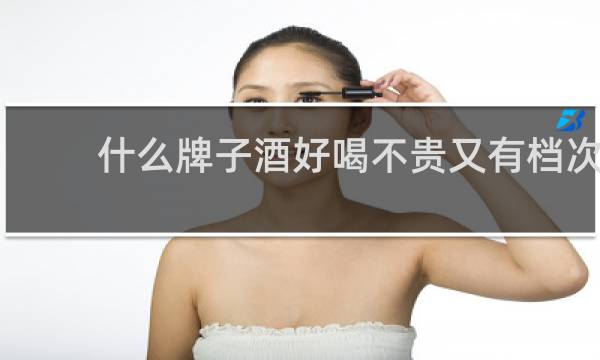 什么牌子酒好喝不贵又有档次