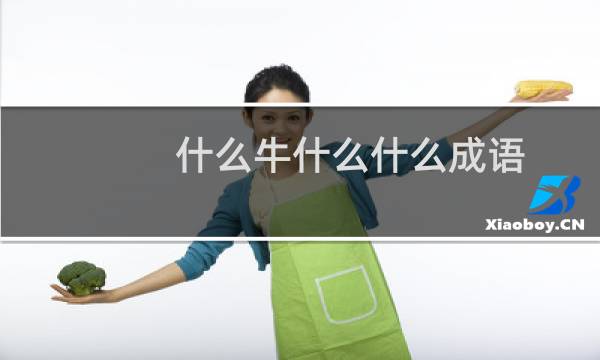 什么牛什么什么成语