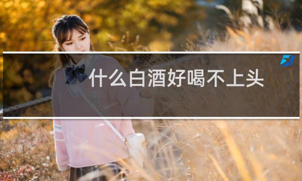 什么白酒好喝不上头