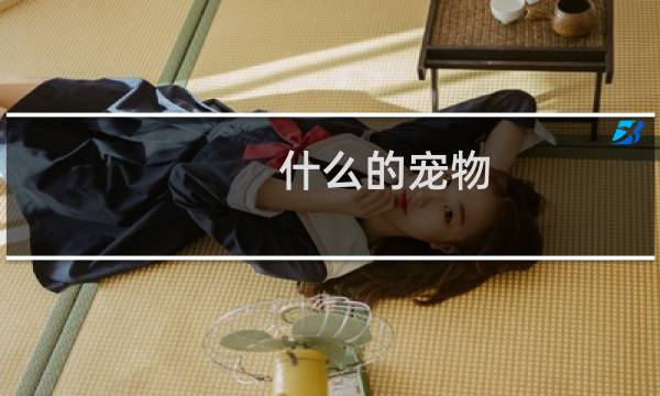什么的宠物