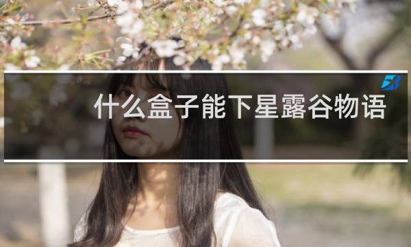 什么盒子能下星露谷物语