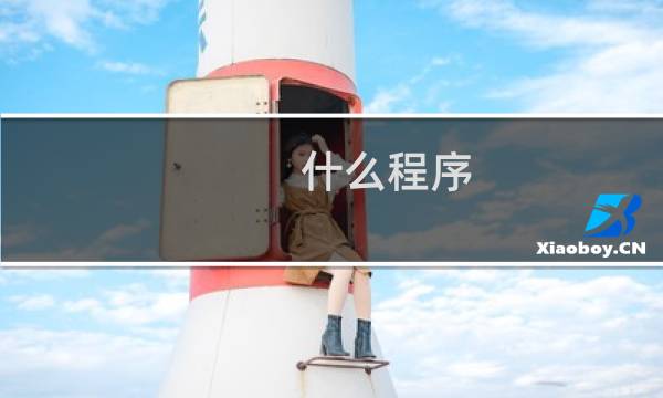 什么程序