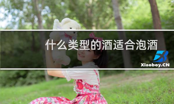什么类型的酒适合泡酒