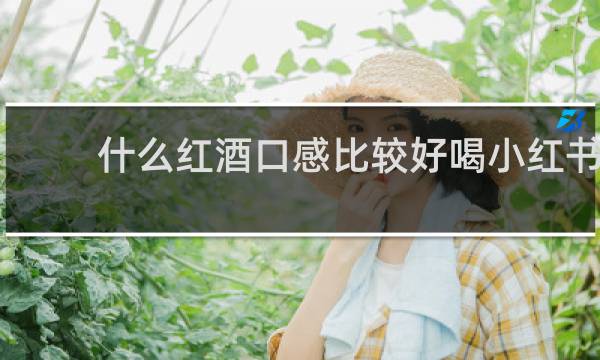 什么红酒口感比较好喝小红书