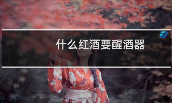 什么红酒要醒酒器