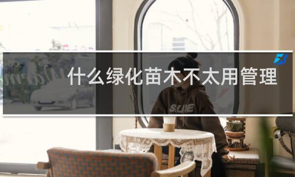 什么绿化苗木不太用管理