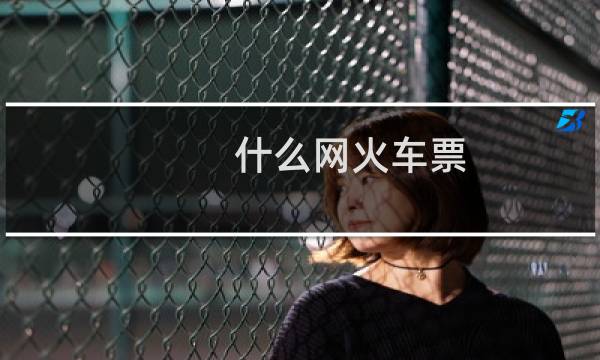 什么网火车票