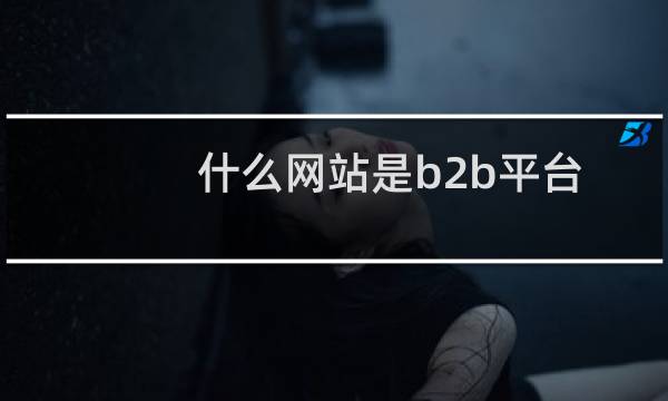 什么网站是b2b平台