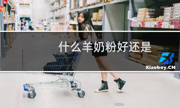 什么羊奶粉好还是