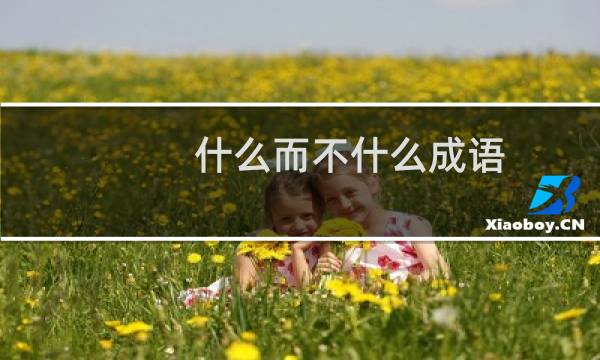 什么而不什么成语
