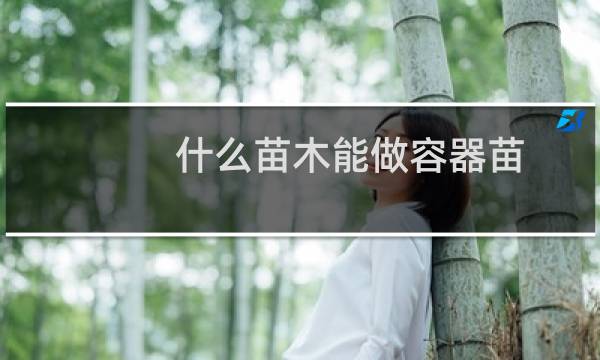 什么苗木能做容器苗