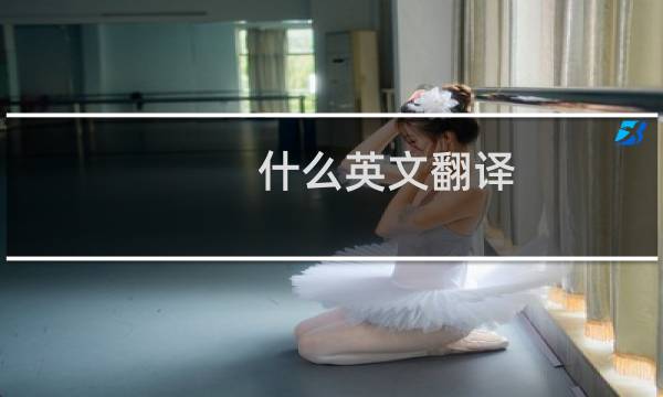 什么英文翻译