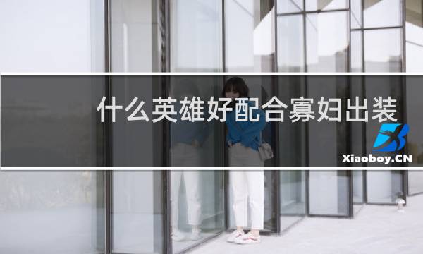 什么英雄好配合寡妇出装