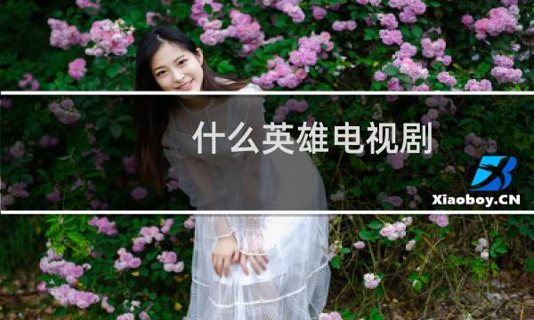什么英雄电视剧