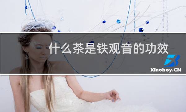 什么茶是铁观音的功效