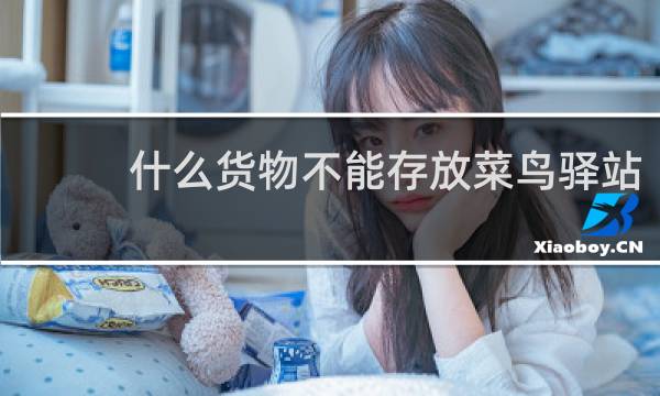 什么货物不能存放菜鸟驿站