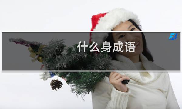 什么身成语