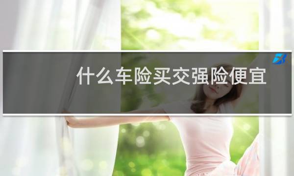 什么车险买交强险便宜