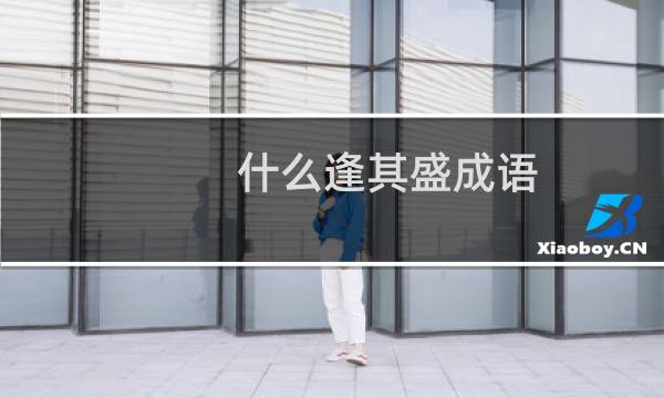 什么逢其盛成语