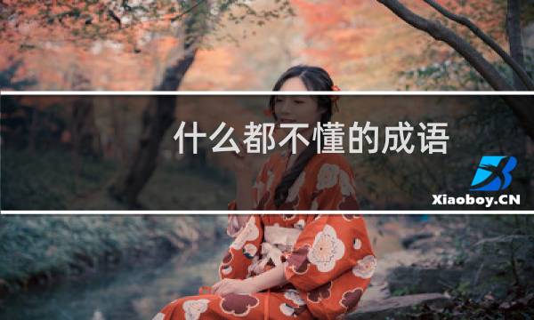 什么都不懂的成语