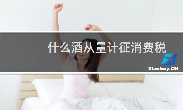 什么酒从量计征消费税