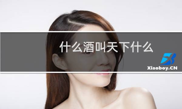 什么酒叫天下什么