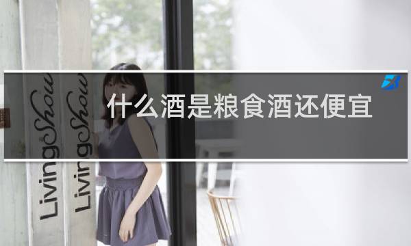 什么酒是粮食酒还便宜