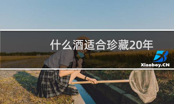 什么酒适合珍藏20年