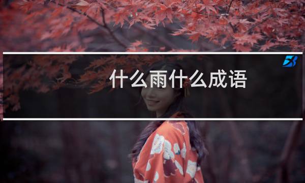 什么雨什么成语