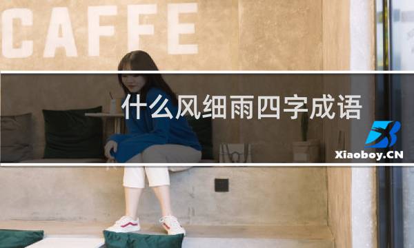 什么风细雨四字成语