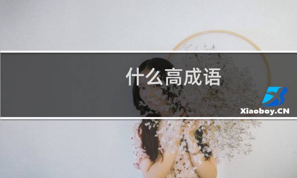 什么高成语