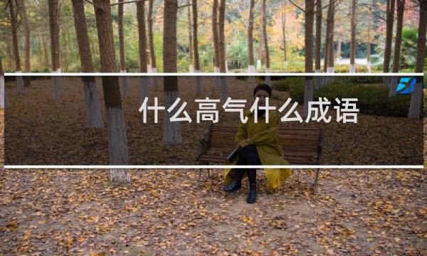 什么高气什么成语