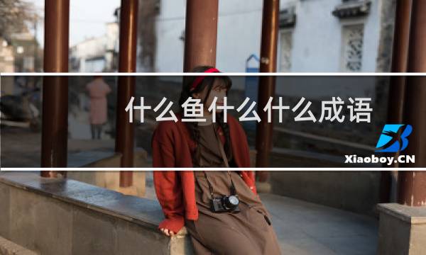 什么鱼什么什么成语