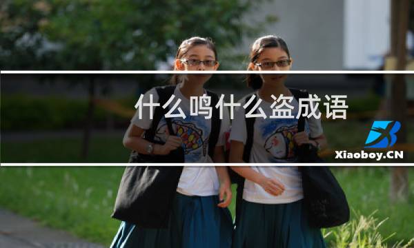 什么鸣什么盗成语