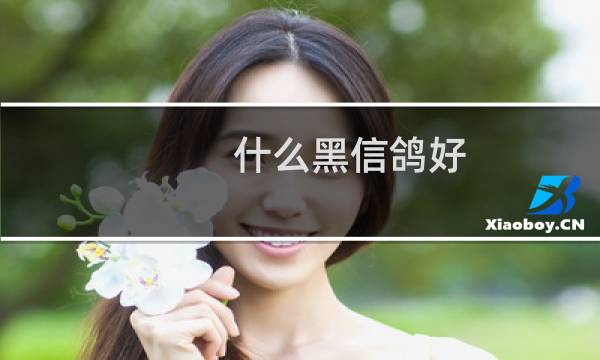 什么黑信鸽好