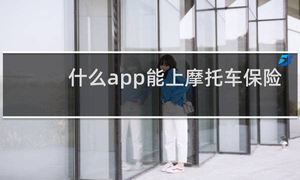 什么app能上摩托车保险