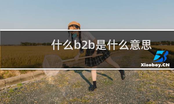 什么b2b是什么意思