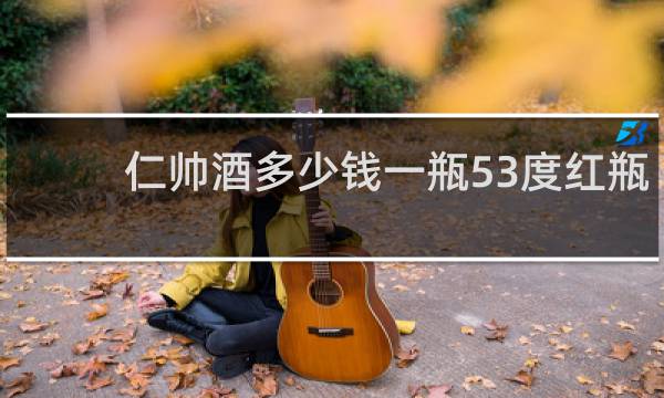 仁帅酒多少钱一瓶53度红瓶