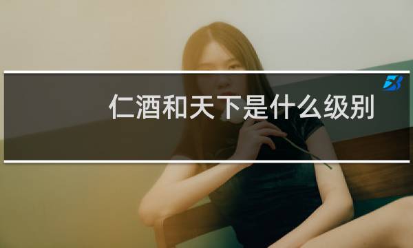 仁酒和天下是什么级别