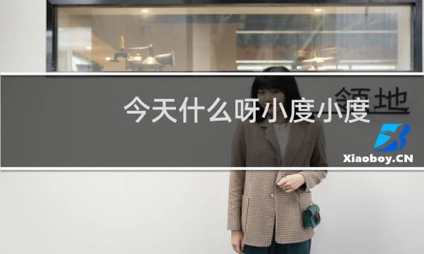 今天什么呀小度小度