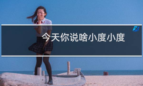 今天你说啥小度小度