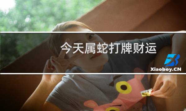 今天属蛇打牌财运