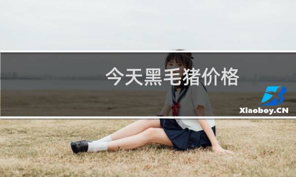 今天黑毛猪价格