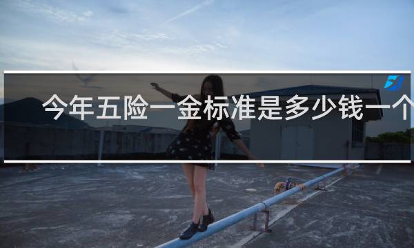 今年五险一金标准是多少钱一个月