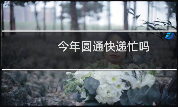 今年圆通快递忙吗