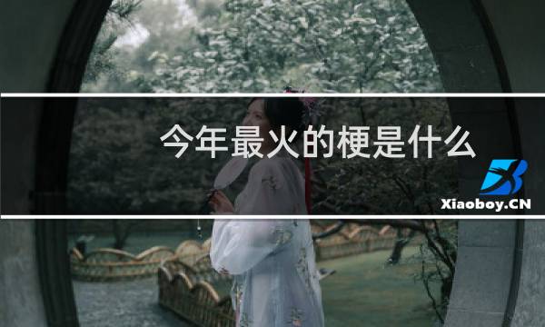 今年最火的梗是什么