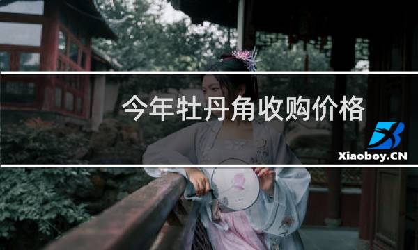 今年牡丹角收购价格