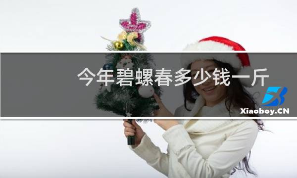 今年碧螺春多少钱一斤