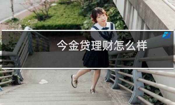 今金贷理财怎么样